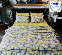 Album 4 Món Drap gối cotton  hàn quốc 01