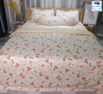 Album 4 Món Drap gối cotton  hàn quốc 02