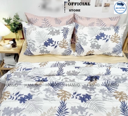 Album 4 Món Drap gối cotton  hàn quốc 01